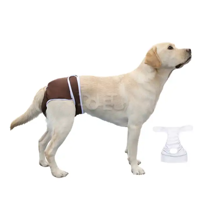 Dog Physiological briefs